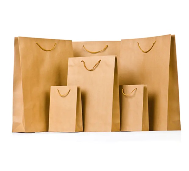 Ang mga nakalimbag na high-end na na-customize na mga bag ng papel sa hinaharap ng eco-friendly packaging?